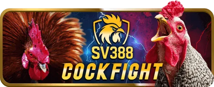 Ưu đãi casino trực tuyến và slot game jun880